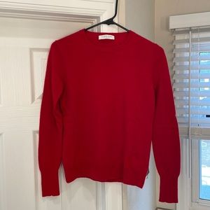 Everlane cashmere crewneck sweater
